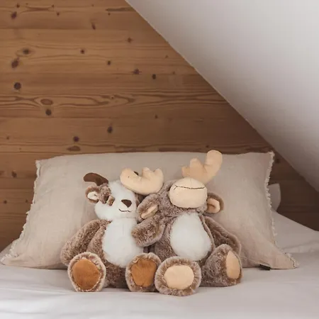 Vakantiehuis Les Hauts De Saint-lary *