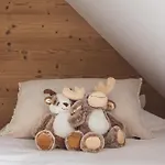 Дом отдыха Les Hauts De Saint-lary *